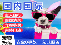 满洲里航空空运国际宠物托运 【国